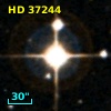 HD  37244