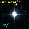 HD  36076