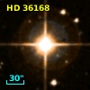 HD  36168