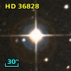 HD  36828