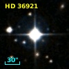 HD  36921