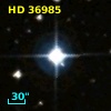 HD  36985