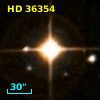 HD  36354