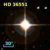 HD  36551