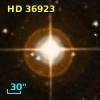HD  36923
