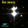 HD  36431