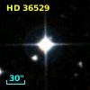 HD  36529