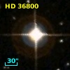 HD  36800