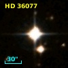 HD  36077