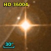 HD  36004
