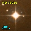 HD  36036
