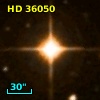HD  36050