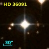 HD  36091