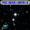 TYC 3658-1079-1