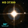 HD  37309