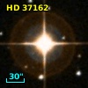 HD  37162