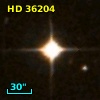 HD  36204