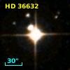 HD  36632