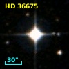HD  36675