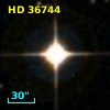 HD  36744