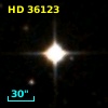 HD  36123