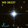 HD  36237