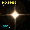 HD  36459