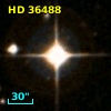 HD  36488