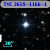 TYC 3658-1166-1