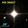 HD  36657