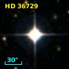 HD  36729