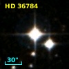 HD  36784