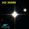 HD  36986