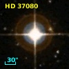 HD  37080
