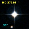 HD  37116