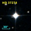 HD  37274