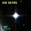 HD  36785