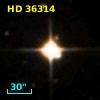 HD  36314