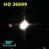 HD  36699