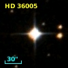 HD  36005
