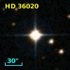 HD  36020