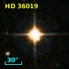 HD  36019