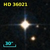 HD  36021