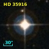 HD  35916