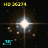 HD  36274