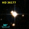 HD  36177