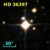 HD  36397