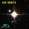 HD  36872