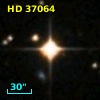 HD  37064