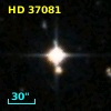 HD  37081